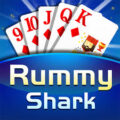 Rummy Shark App Download